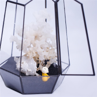 The most precious heart真正珍贵的心布施