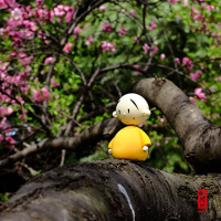 Leisure 暇满人身