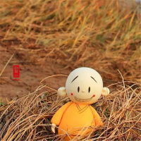 What is the goal of your life 你的人生目标是什么