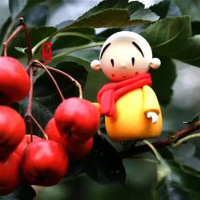 Buddhism practice to enlighten the mind 修习佛法，启发内心