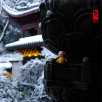 On the Importance of the College Entrance Examination