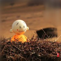 Taking concrete steps 一步一个脚印