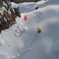 One Should Be Independent but Not Eccentric