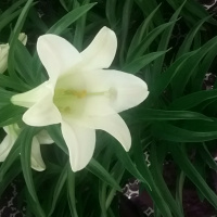 Saturday Morning Motivation 