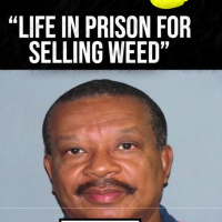 Prison Drugs and America