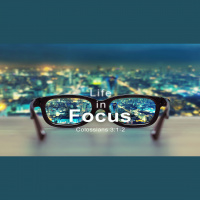 Life in Focus (3/10/19)