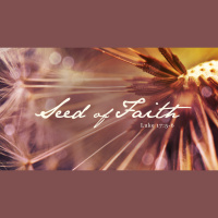 Seed of Faith (2/24/19)