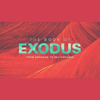 Stepping Into Freedom (4/28/19)