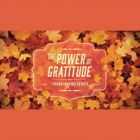 Grateful Thinking (11/10/19)