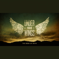 4 A Risky Proposition (8/26/18)