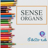 Sense organs | Biology | Radio badi | Online classes | E FM | Eenadu