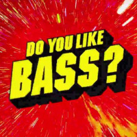 Do You like Bass..Boom Boom Boom