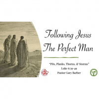 Following Jesus #x2013 The Perfect Man #x2013 Luke 6:39-49 - Audio