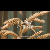 Hope on the Other Side of Divorce