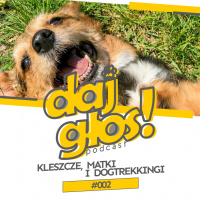 Daj Głos! #002 – Kleszcze, matki i dogtrekkingi