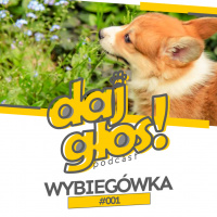 Daj Głos! #001 – Wybiegówka