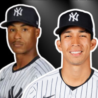 YANKEES PIERDEN A OSWALD PERAZA / COMO VA A LUCIR EL ROSTER DE OPENING DAY