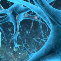 Braindamage adelanto/promo