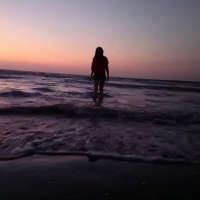 All transforms in different shapes and colors 