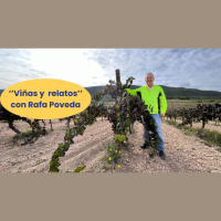 En Viñas y Relatos descubrimos cómo el tipo de copa, el lugar y nuestro estado de ánimo pueden transformar la manera en que disfrutamos del vino.