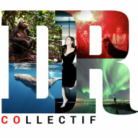 #85 - Des news du Collectif DR !