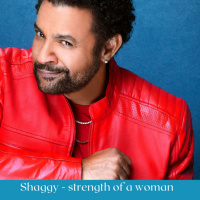 Shaggy - Strength Of A Woman