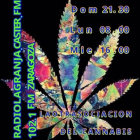 UndergrowTV 5 Especial Ferias cannábicas Ward 21