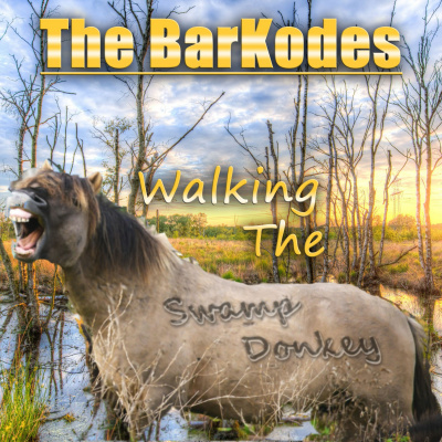 John Hughes (the Barkodes)