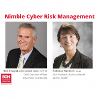 Nimble Cyber Risk Management