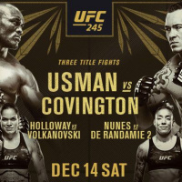 UFC 245 Fight Predictions!