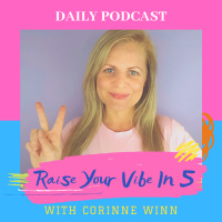Raise Your Vibe In 5 - Episode 1: Introduction
