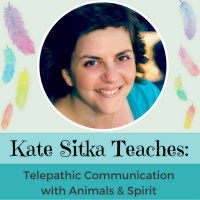 The Course is ready for you!