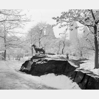 02-05-2025 Woody Game Wednesday