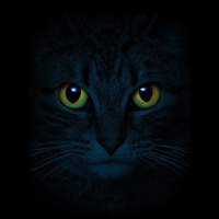 El Gato del Señor Johnson, de Isaac Martín