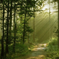 EXTRA: Extracto de Proverbios y cantares (XXIX), de Antonio Machado