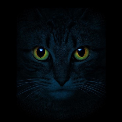 Cuentos De La Casa De La Bruja