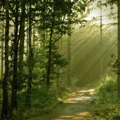 Cuentos De La Casa De La Bruja