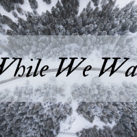 While We Wait