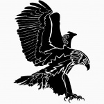 Tallan Paul Photography Podcast