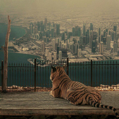 Brandon Thoughtful Luckett