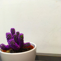 Como se cierra una puerta se abre la otra.