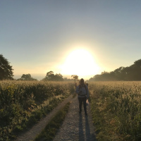 El que se quiere sanar apuesta y arriesga.