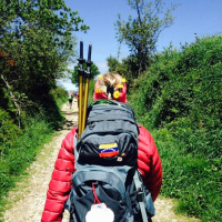 El Camino del Camino