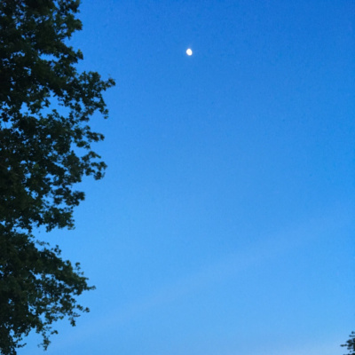 Lonchera Para El Alma.