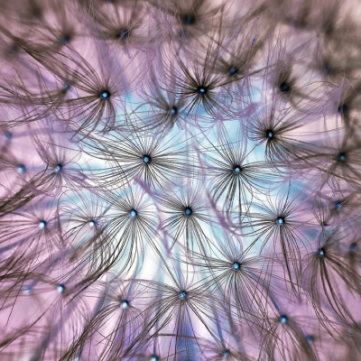 Lonchera Para El Alma.