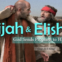 King, Crow and a Widow