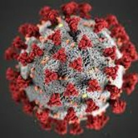 On The Front Lines Of The Pandemic