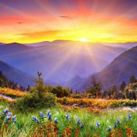 Students in the Hall: Life Without Social Media