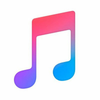 The Meaning of Music