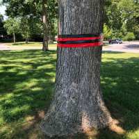 Hills Review For The Week Of March 14 2022